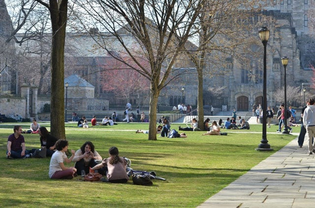 photo yale photo yale