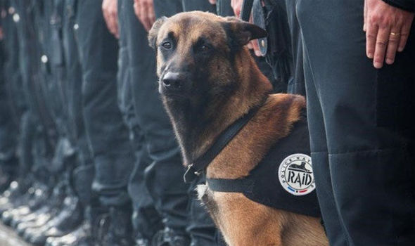 diesel was killed during the paris terror siege photo french police