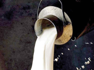 food safety loose milk supply assessed food safety loose milk supply assessed