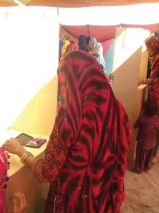 the people decide a beautiful day for democracy