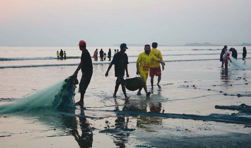 fishermen carry their catch on world fisheries day according to wwf p marine fisheries technical advisor muhammad moazzam khan pakistan produces 40 000 tons of tuna fish every year but its treatment renders it unsuitable for consumption photo mohammad noman express