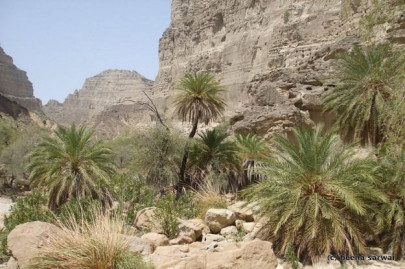 balochistan hands suparco 9 000 acres of hingol forest