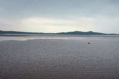 rawal lake lack of funds hampers efforts to control illegal fishing