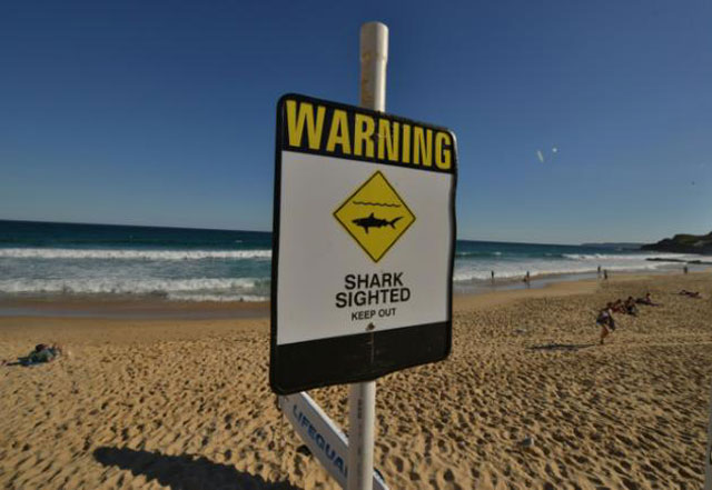 the drones are expected to feed live images back to an operator including gps coordinates to better warn and protect people from shark attacks photo afp