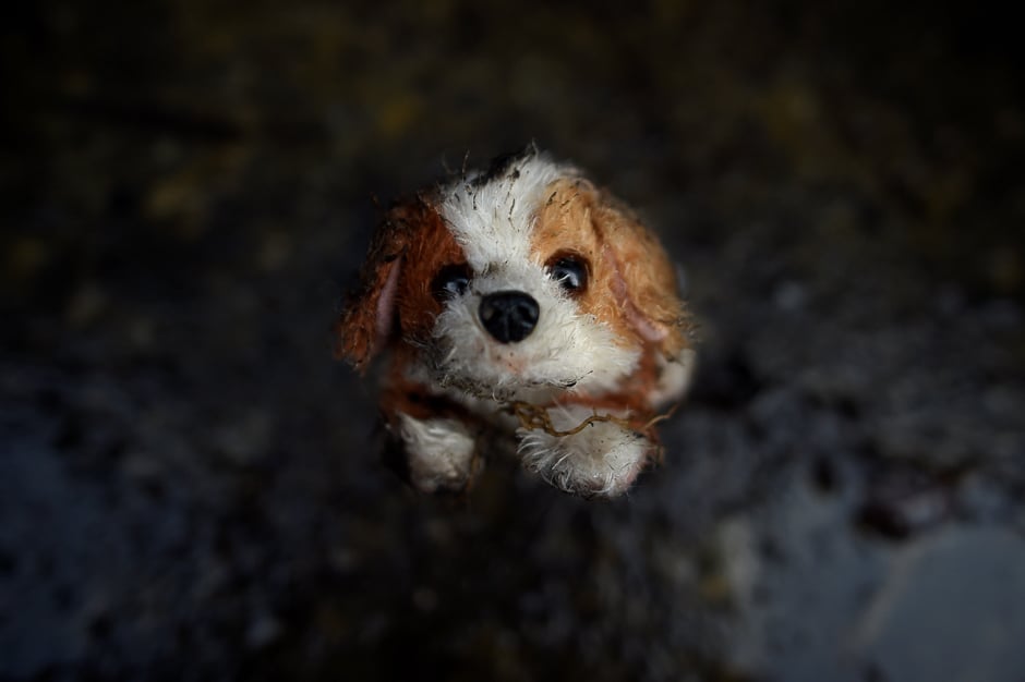 A ruined child's toy is seen on the property of Emmet Conroy which was destroyed by flooding in Mountmellick, Ireland. PHOTO: REUTERS