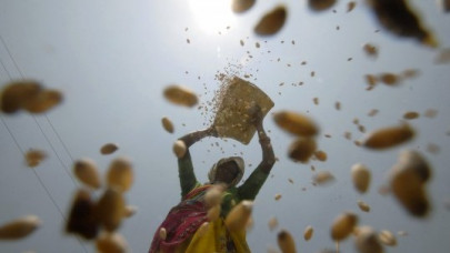 wheat hoarders face crackdown wheat hoarders face crackdown
