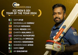 saim shaheen and haris included in icc men s odi team of the year for 2024