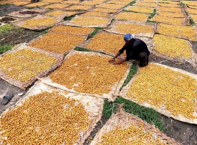 indigenous brands take centre stage at date festival