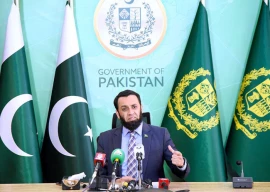 government decides to ban pti