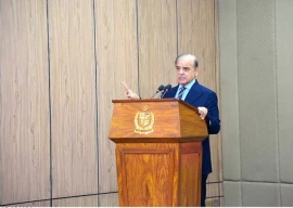 pm shehbaz unveils three month power relief package