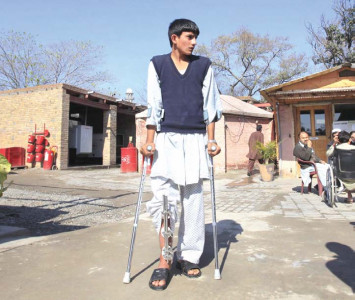 conflict zone the human cost of war in the north