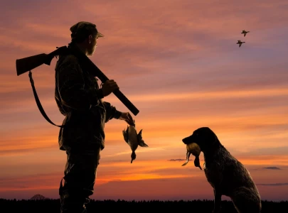 bird shooters kill trained anf dog bird shooters kill trained anf dog