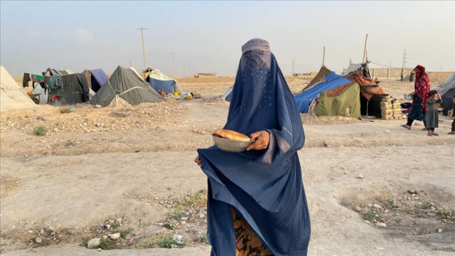 taliban ratify strict vice and virtue laws in afghanistan taliban ratify strict vice and virtue laws in afghanistan