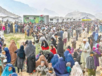 more than 317 000 afghans repatriated more than 317 000 afghans repatriated