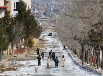 cold wave in afghanistan kills over quarter million livestock
