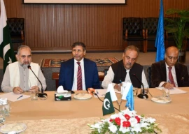 pakistan s special representative to afghanistan calls for peace and stability