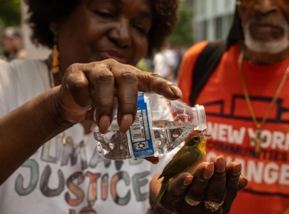 tens of millions bake in extreme us heat
