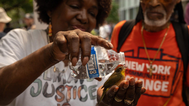 tens of millions bake in extreme us heat tens of millions bake in extreme us heat