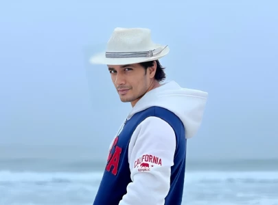 ali zafar wants proper implementation of cyber laws to end online vilification