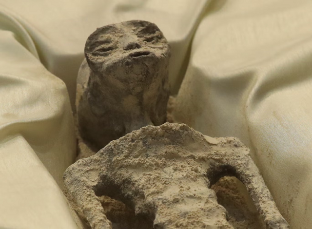 the two small alleged alien corpses retrieved from cusco peru were presented in windowed boxes in mexico city on wednesday photo reuters