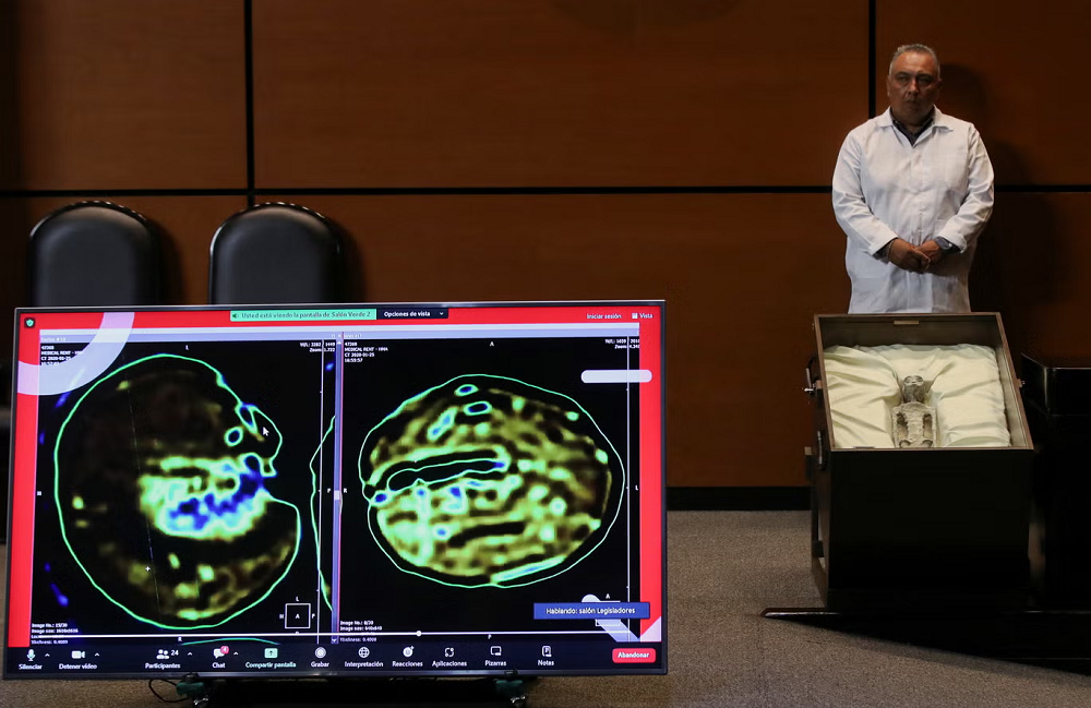 X-rays of the specimens were also shown during the hearing, with experts testifying under oath that one of the bodies is seen to have “eggs” inside. PHOTO: REUTER