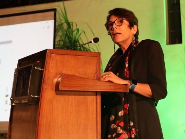 european union eu ambassador androulla kaminara says the certainty of being caught and punished serves as more efficient deterrent photo app european union eu ambassador androulla kaminara says the certainty of being caught and punished serves as more efficient deterrent photo app