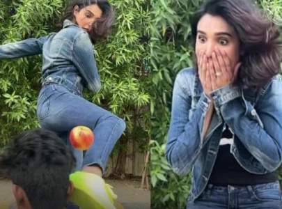 amna ilyas apologises partly for disgusting humiliating viral kick video