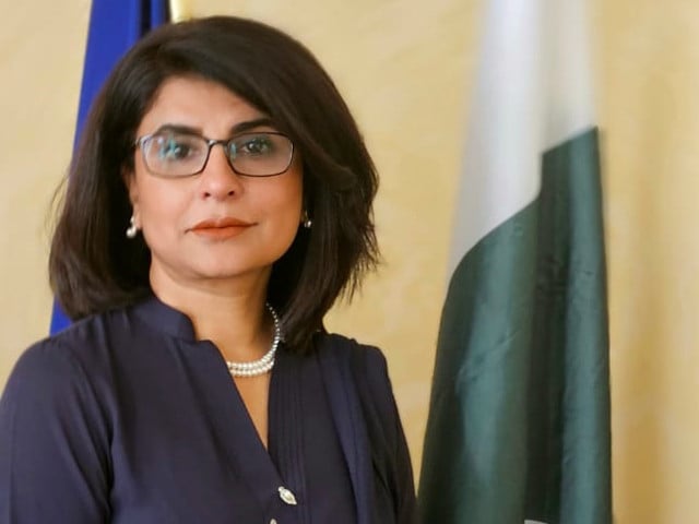 amna baloch will only be the second female foreign secretary photo mofa