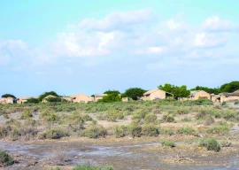 indus delta s downstream dilemma