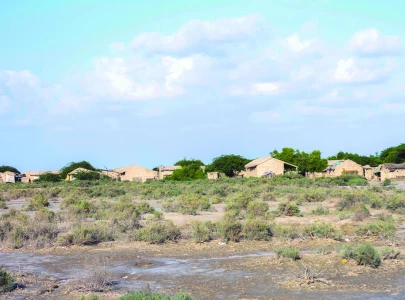 indus delta s downstream dilemma indus delta s downstream dilemma