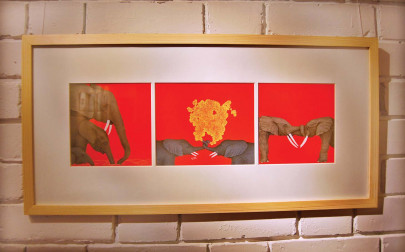 an elephant in the room