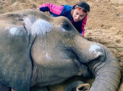 rest in peace princess anoushey ashraf ahmed ali butt mourn elephant noor jehan s loss