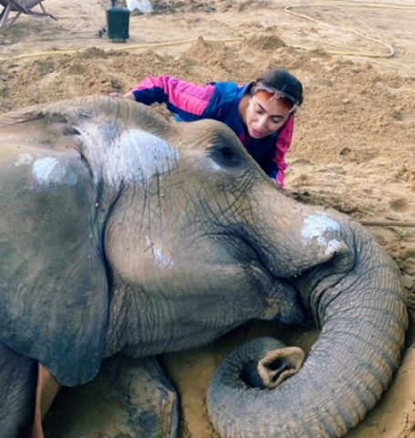 rest in peace princess anoushey ashraf ahmed ali butt mourn elephant noor jehan s loss rest in peace princess anoushey ashraf ahmed ali butt mourn elephant noor jehan s loss