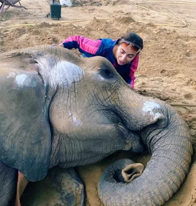 rest in peace princess anoushey ashraf ahmed ali butt mourn elephant noor jehan s loss rest in peace princess anoushey ashraf ahmed ali butt mourn elephant noor jehan s loss