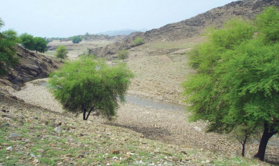 water conservation construction of delay check dams okayed