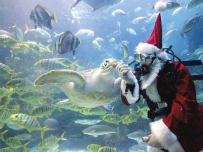 season s greetings love asia