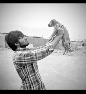 24 7 animal rescue giving a new life to city s neglected furry residents 24 7 animal rescue giving a new life to city s neglected furry residents