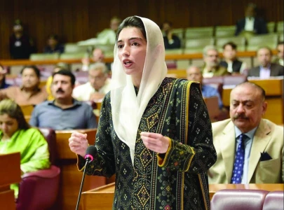 aseefa terms budget anti people