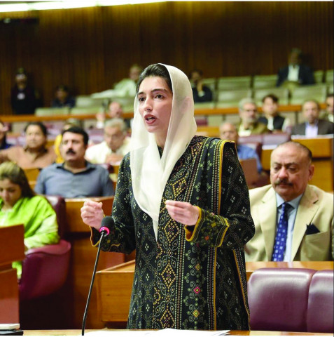 aseefa terms budget anti people aseefa terms budget anti people