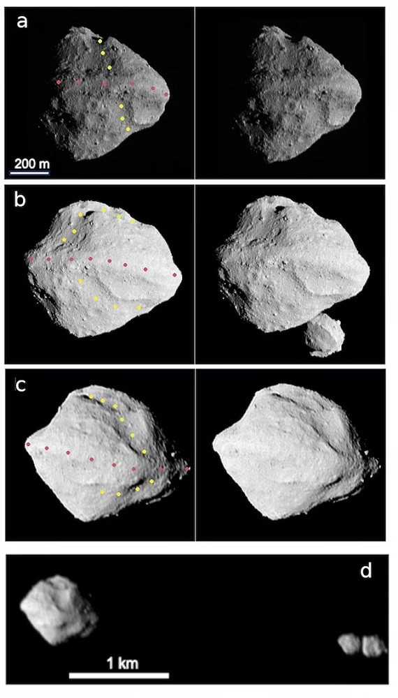 The asteroid Dinkinesh, a denizen of the solar system's main asteroid belt, is seen in multiple images taken by the NASA Lucy Spacecraft's L'LORRI Instrument. Panels a, b and c each show stereographic image pairs of Dinkinesh in the minutes around closest approach on Nov. 1, 2023. The yellow and rose dots indicate the trough and ridge features, respectively. These images have been sharpened and processed to enhance contrast. Panel d shows a side view of Dinkinesh and its satellite Selam taken a few minutes after closest approach. PHOTO: REUTES