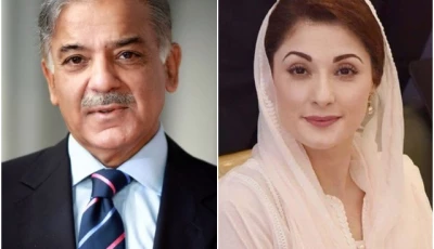 lhc disposes of nab s pleas against pm shehbaz punjab cm maryam