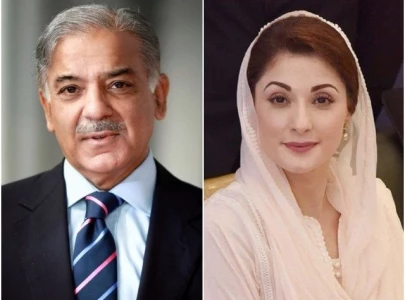 maryam meets shehbaz to discuss party issues maryam meets shehbaz to discuss party issues