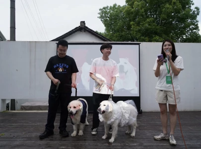 dog weddings are on the rise in china as human ones fail to match up dog weddings are on the rise in china as human ones fail to match up