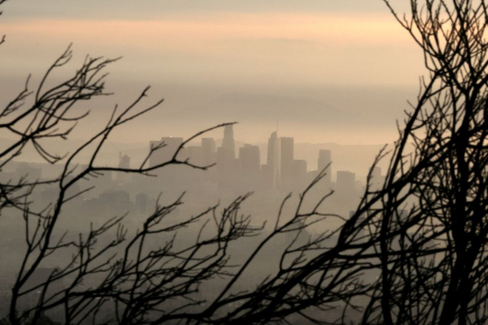 downtown los angeles is seen behind a tree burned by wildfire before expected heavy rains as the coronavirus disease covid 19 continues in los angeles california us photo reuters