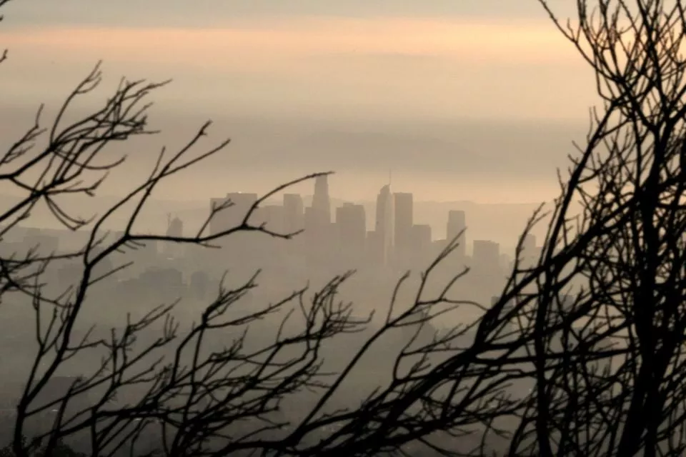 carbon dioxide in the air at highest level since measurements began carbon dioxide in the air at highest level since measurements began