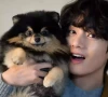 bts v announces heartbreaking loss of beloved dog yeontan on instagram bts v announces heartbreaking loss of beloved dog yeontan on instagram