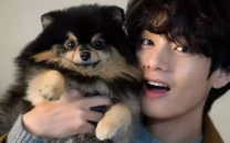 bts v announces heartbreaking loss of beloved dog yeontan on instagram