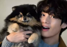 bts v announces heartbreaking loss of beloved dog yeontan on instagram bts v announces heartbreaking loss of beloved dog yeontan on instagram