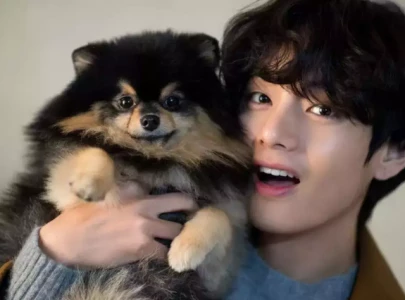 bts v announces heartbreaking loss of beloved dog yeontan on instagram bts v announces heartbreaking loss of beloved dog yeontan on instagram