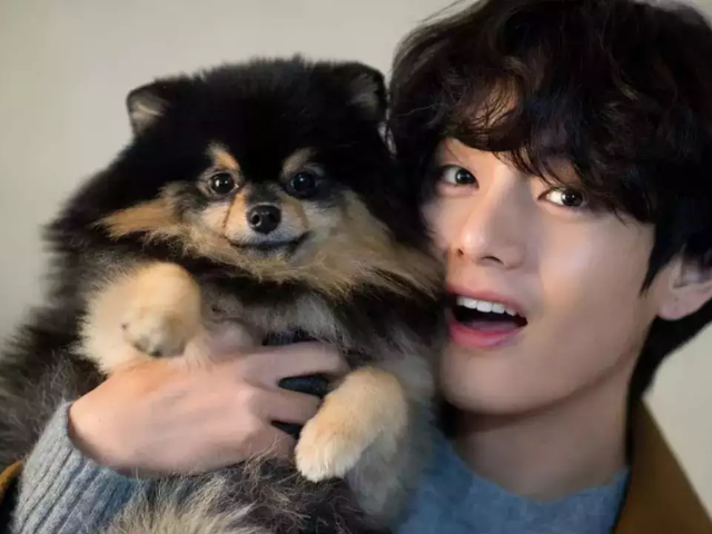 BTS V Mourns Loss of Beloved Dog Yeontan